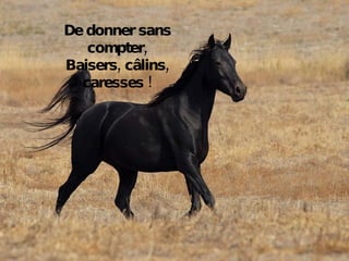 De donner sans compter, Baisers, câlins, caresses ! 
