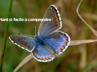 Pourtant si facile à comprendre ! 