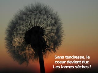 Sans tendresse, le coeur devient dur, Les larmes sèches ! 