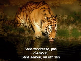 Sans tendresse, pas d'Amour, Sans Amour, on est rien !  