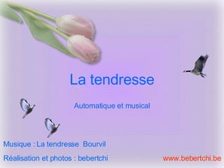 La tendresse Réalisation et photos : bebertchi www.bebertchi.be Musique :   La tendresse  Bourvil Automatique et musical 