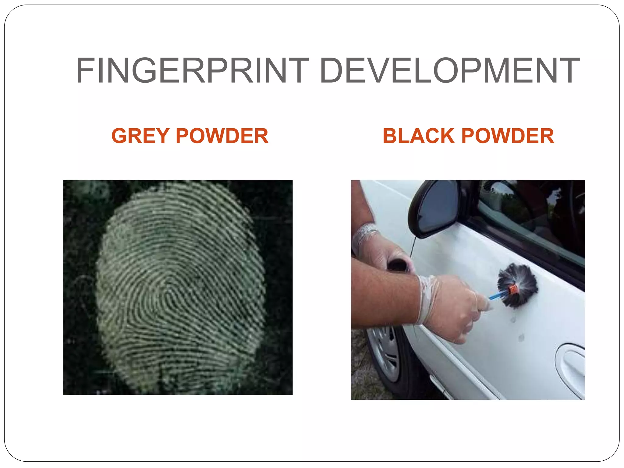 Latent fingerprint development | PPT