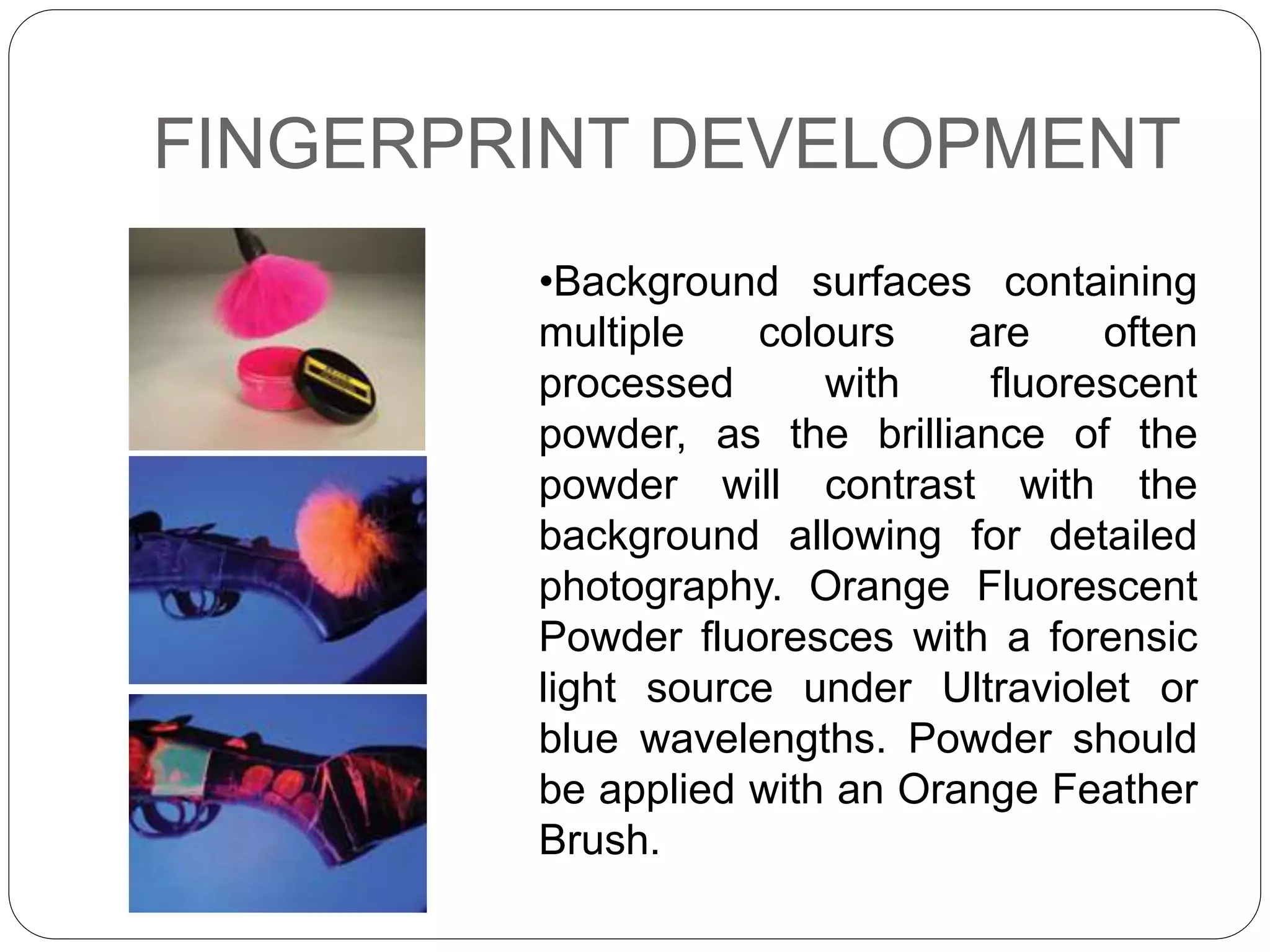 Latent fingerprint development | PPT