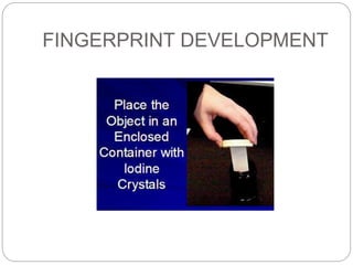 FINGERPRINT DEVELOPMENT
 