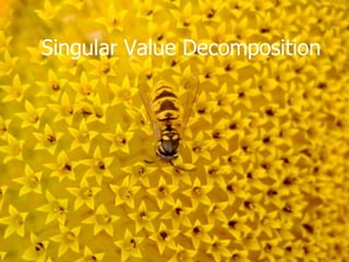 Singular Value Decomposition
 