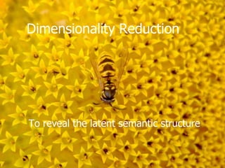 Dimensionality Reduction




To reveal the latent semantic structure
 