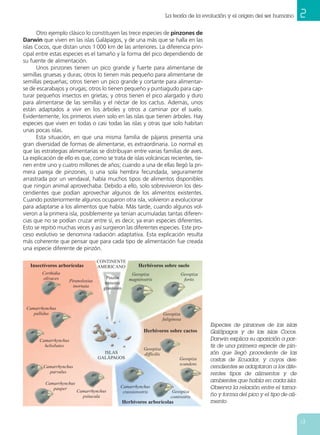 La teoría de la evolución y origen del ser humano[4691421] | PDF