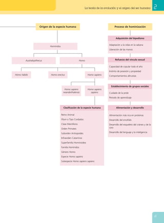 La teoría de la evolución y origen del ser humano[4691421] | PDF