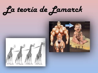 La teoría de Lamarck
 