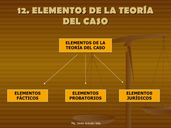 LA TEORÍA DEL CASO