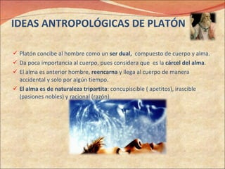 IDEAS ANTROPOLÓGICAS DE PLATÓN Platón concibe al hombre como un  ser dual,  compuesto de cuerpo y alma.  Da poca importancia al cuerpo, pues considera que  es la  cárcel del alma . El alma es anterior hombre,  reencarna  y llega al cuerpo de manera accidental y solo por algún tiempo.  El alma es de naturaleza tripartita : concupiscible ( apetitos), irascible  (pasiones nobles) y racional (razón)   