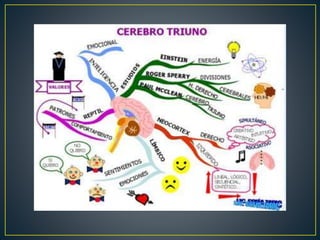 La teoria del cerebro triuno 