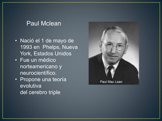 • Nació el 1 de mayo de
1993 en Phelps, Nueva
York, Estados Unidos
• Fue un médico
norteamericano y
neurocientífico.
• Propone una teoría
evolutiva
del cerebro triple
Paul Mclean
 