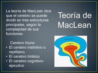 La teoría de MacLean dice
que el cerebro se puede
dividir en tres estructuras
principales, según la
complejidad de sus
funciones:
Cerebro triuno
• El cerebro instintivo o
reptiliano,
• El cerebro límbico
• El cerebro cognitivo-
ejecutivo
Teoría de
MacLean
 
