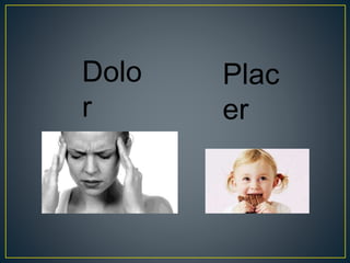 Dolo
r
Plac
er
 