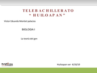 TELEBACHILLERATO “HUILOAPAN” Víctor Eduardo Montiel palacios  BIOLOGIA I La teoría del gen  Huiloapan ver  4/10/10 