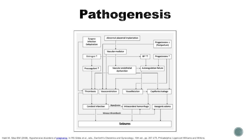 Late Postpartum Eclampsia