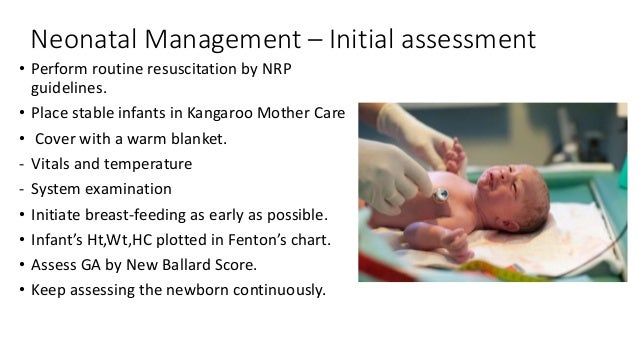 Management of late preterm babies