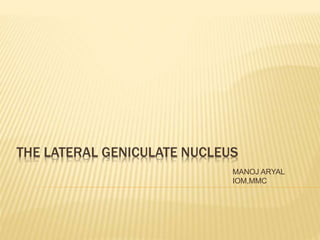 THE LATERAL GENICULATE NUCLEUS
MANOJ ARYAL
IOM,MMC
 