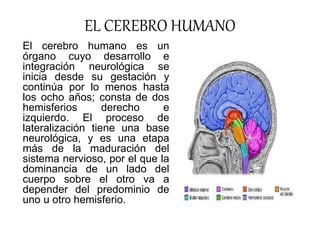 EL CEREBRO HUMANO
El cerebro humano es un
órgano cuyo desarrollo e
integración neurológica se
inicia desde su gestación y
...