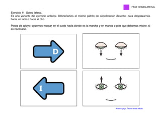 Ejercicio 11: Gateo lateral.
Es una variante del ejercicio anterior. Utilizaríamos el mismo patrón de coordinación descrito, para desplazarnos
hacia un lado o hacia el otro.
Pictos de apoyo: podemos marcar en el suelo hacia donde es la marcha y en manos o pies que debemos mover, si
es necesario.
FASE HOMOLATERAL
Kristina gago. Txomin aresti eskola
 
