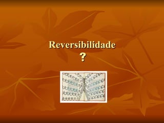Reversibilidade    