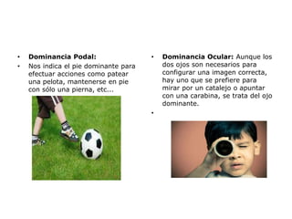 •
•

Dominancia Podal:
Nos indica el pie dominante para
efectuar acciones como patear
una pelota, mantenerse en pie
con sólo una pierna, etc...

•

•

Dominancia Ocular: Aunque los
dos ojos son necesarios para
configurar una imagen correcta,
hay uno que se prefiere para
mirar por un catalejo o apuntar
con una carabina, se trata del ojo
dominante.

 