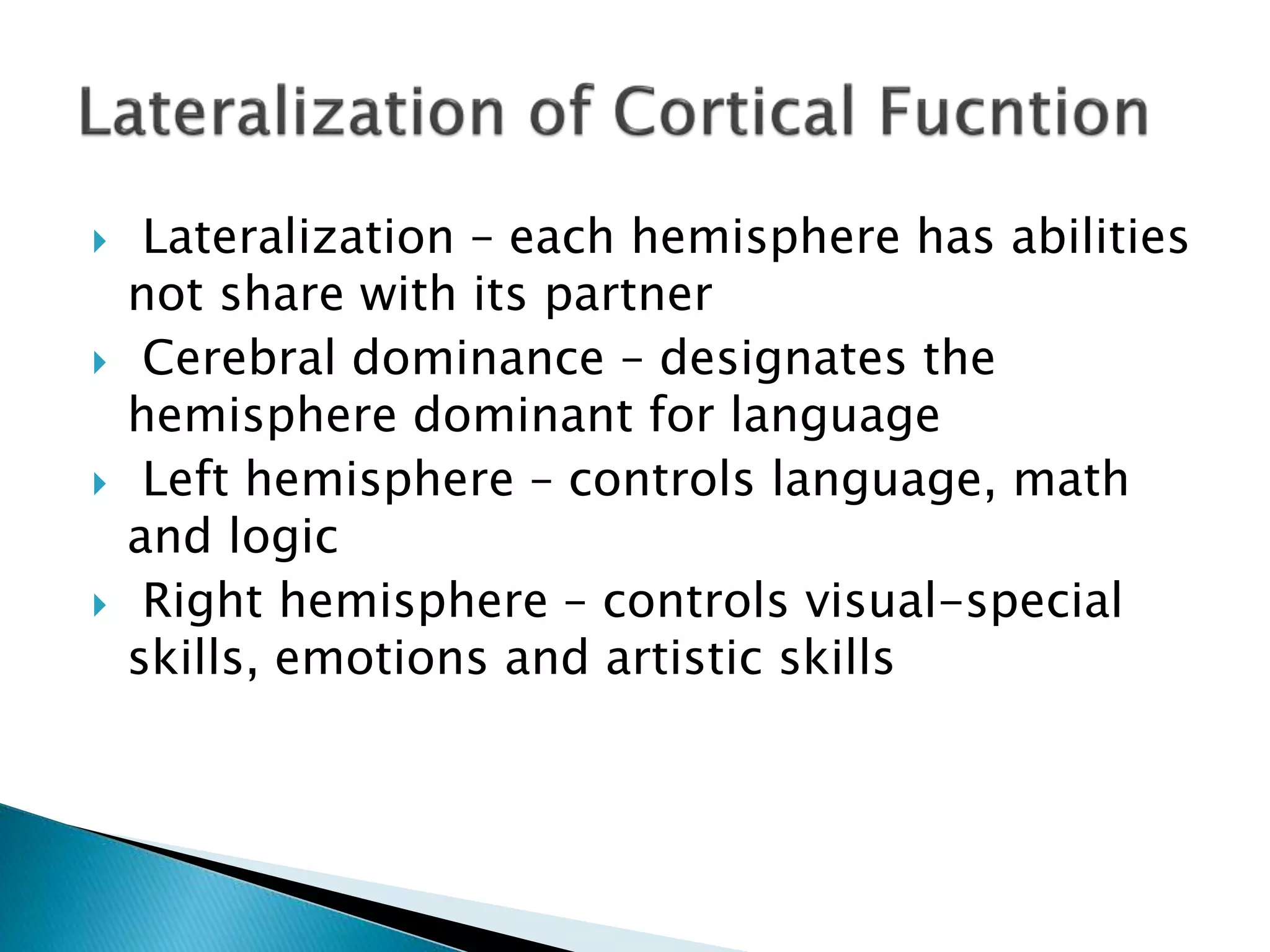  Lateralization – each hemisphere has abilities
not share with its partner
 Cerebral dominance – designates the
hemisphere dominant for language
 Left hemisphere – controls language, math
and logic
 Right hemisphere – controls visual-special
skills, emotions and artistic skills
 