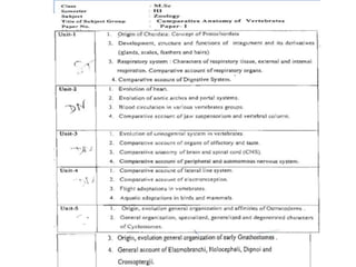 Lateral line system