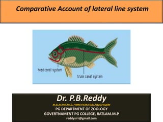 Comparative Account of lateral line system
Dr. P.B.Reddy
M.Sc,M.Phil,Ph.D, FIMRF,FICER,FSLSc,FISZS,FISQEM
PG DEPARTMENT OF ZOOLOGY
GOVERTNAMENT PG COLLEGE, RATLAM.M.P
reddysirr@gmail.com
 