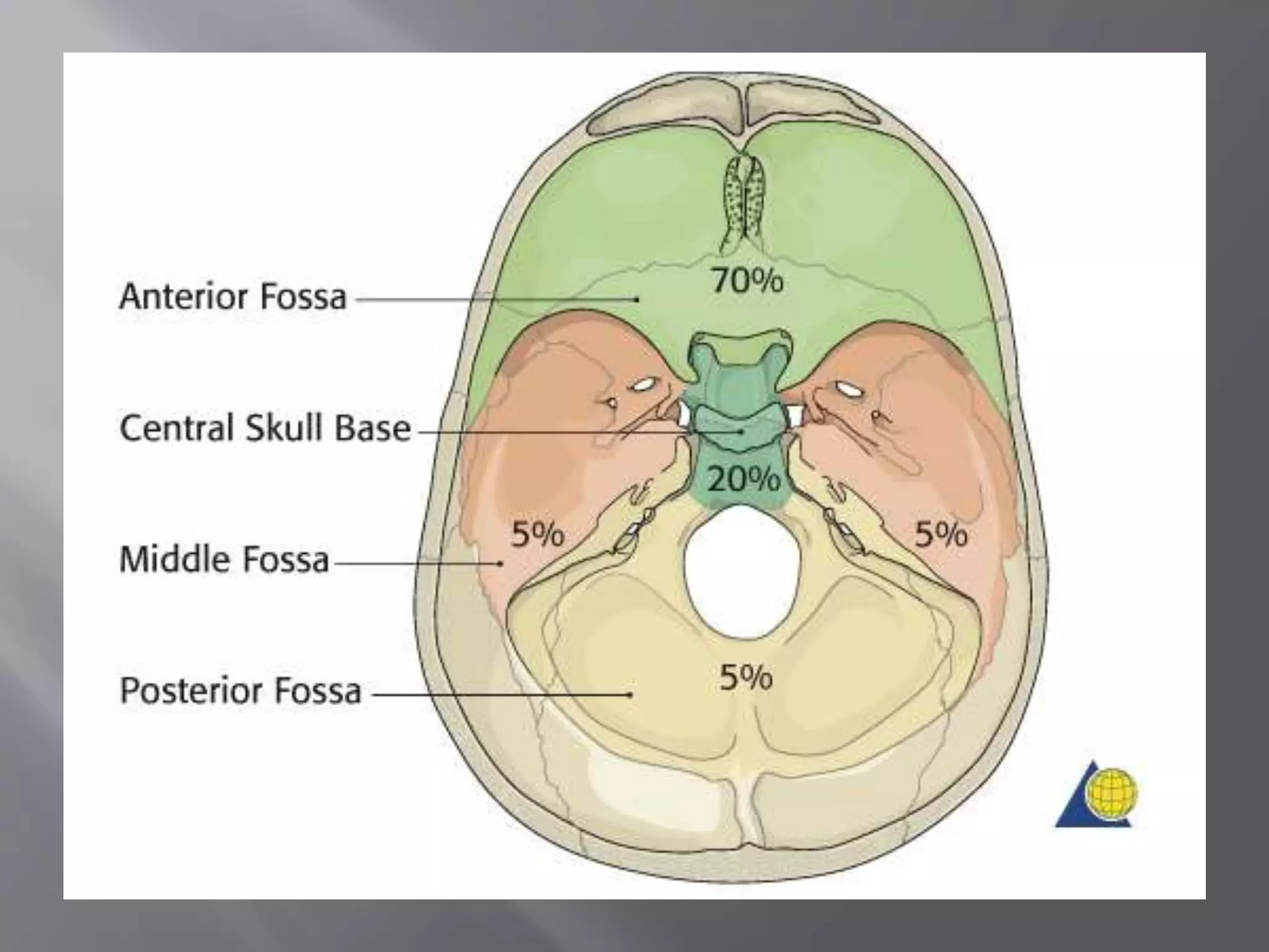 Lateral skull base anatomy and applied science by Dr, bomkar bam | PPTX