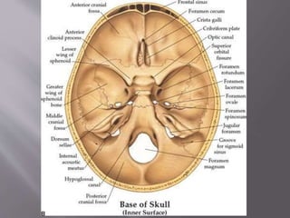 Lateral skull base anatomy and applied science by Dr, bomkar bam | PPTX