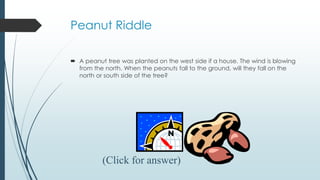 Peanut Riddle
 A peanut tree was planted on the west side if a house. The wind is blowing
from the north. When the peanuts fall to the ground, will they fall on the
north or south side of the tree?
(Click for answer)
 