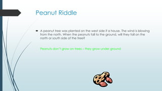 Peanut Riddle
 A peanut tree was planted on the west side if a house. The wind is blowing
from the north. When the peanuts fall to the ground, will they fall on the
north or south side of the tree?
Peanuts don’t grow on trees – they grow under ground
 