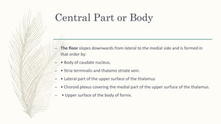 Central Part or Body
– The floor slopes downwards from lateral to the medial side and is formed in
that order by:
– • Body of caudate nucleus.
– • Stria terminalis and thalamo striate vein.
– • Lateral part of the upper surface of the thalamus
– • Choroid plexus covering the medial part of the upper surfuce of the thalamus.
– • Upper surface of the body of fornix.
 