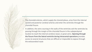 – The choroidal arteries, which supply the choroid plexus, arise from the internal
carotid and posterior cerebral arteries and enter the ventricles through the
choroidal fissure.
– In addition, the veins coursing in the walls of the ventricles exit the ventricles by
passing through the margin of the choroidal fissure in the subependymal
location to reach the internal cerebral, basal, or great veins. Opening through
the fissure from the lateral ventricle during intracranial operations provides
access to several structures that are difficult or impossible to expose through
the extracerebral route
 