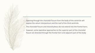 – Opening through the choroidal fissure from the body of the ventricle will
expose the velum interpositum and the roof of the third ventricle.
– The choroidal fissure and choroid plexus do not extend into the frontal horn;
– however, some operative approaches to the superior part of the choroidal
fissure are directed through the frontal horn and adjacent part of the body
 