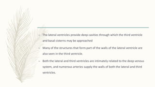 – The lateral ventricles provide deep cavities through which the third ventricle
and basal cisterns may be approached
– Many of the structures that form part of the walls of the lateral ventricle are
also seen in the third ventricle.
– Both the lateral and third ventricles are intimately related to the deep venous
system, and numerous arteries supply the walls of both the lateral and third
ventricles.
 