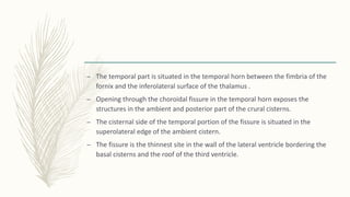 – The temporal part is situated in the temporal horn between the fimbria of the
fornix and the inferolateral surface of the thalamus .
– Opening through the choroidal fissure in the temporal horn exposes the
structures in the ambient and posterior part of the crural cisterns.
– The cisternal side of the temporal portion of the fissure is situated in the
superolateral edge of the ambient cistern.
– The fissure is the thinnest site in the wall of the lateral ventricle bordering the
basal cisterns and the roof of the third ventricle.
 