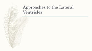 Approaches to the Lateral
Ventricles
 