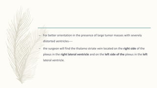 – For better orientation in the presence of large tumor masses with severely
distorted ventricles----
– the surgeon will find the thalamo striate vein located on the right side of the
plexus in the right lateral ventricle and on the left side of the plexus in the left
lateral ventricle.
 