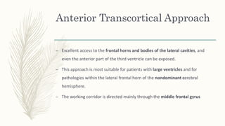 Anterior Transcortical Approach
– Excellent access to the frontal horns and bodies of the lateral cavities, and
even the anterior part of the third ventricle can be exposed.
– This approach is most suitable for patients with large ventricles and for
pathologies within the lateral frontal horn of the nondominant cerebral
hemisphere.
– The working corridor is directed mainly through the middle frontal gyrus
 