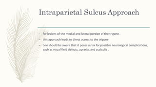 Intraparietal Sulcus Approach
– for lesions of the medial and lateral portion of the trigone .
– this approach leads to direct access to the trigone
– one should be aware that it poses a risk for possible neurological complications,
such as visual field defects, apraxia, and acalculia .
 