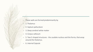 – These walls are formed predominantly by
– 1. Thalamus
– 2. Septum pellucidum
– 3. Deep cerebral white matter
– 4. Corpus callosum
– 5. Two C-shaped structures - the caudate nucleus and the fornix, that wrap
around the thalamus.
– 6. Internal Capsule
 
