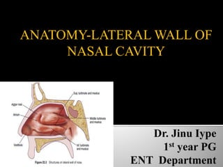 ANATOMY-LATERAL WALL OF
NASAL CAVITY
 