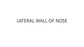 LATERAL WALL OF NOSE
 