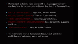 lateral wall of nose.pptx which is very important | PPTX