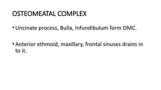 Omc Complex Comprehensive Anatomy of the Lateral Wall of the Nose: Structures and ...