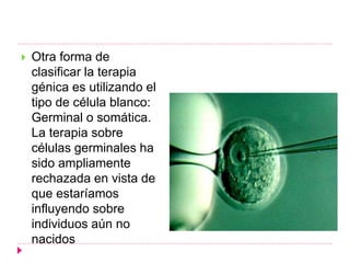  Otra forma de
clasificar la terapia
génica es utilizando el
tipo de célula blanco:
Germinal o somática.
La terapia sobre
células germinales ha
sido ampliamente
rechazada en vista de
que estaríamos
influyendo sobre
individuos aún no
nacidos
 