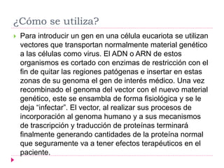 ¿Cómo se utiliza?
 Para introducir un gen en una célula eucariota se utilizan
vectores que transportan normalmente material genético
a las células como virus. El ADN o ARN de estos
organismos es cortado con enzimas de restricción con el
fin de quitar las regiones patógenas e insertar en estas
zonas de su genoma el gen de interés médico. Una vez
recombinado el genoma del vector con el nuevo material
genético, este se ensambla de forma fisiológica y se le
deja “infectar”. El vector, al realizar sus procesos de
incorporación al genoma humano y a sus mecanismos
de trascripción y traducción de proteínas terminará
finalmente generando cantidades de la proteína normal
que seguramente va a tener efectos terapéuticos en el
paciente.
 